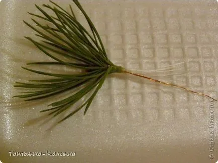 Bonsai fenyő a hideg porcelán, ország művészek