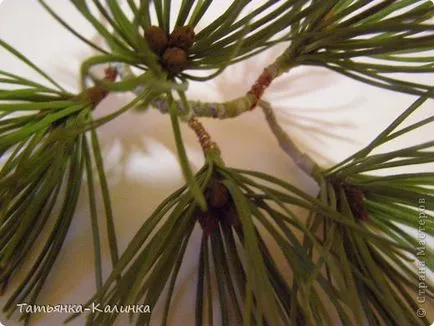 Bonsai de pin dintr-un porțelan rece, artiști țară