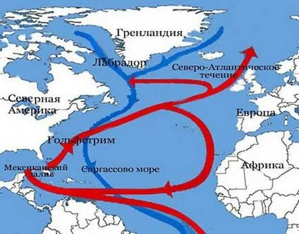 mistere din Triunghiul Bermudelor, ghicitori, ipoteze, facte