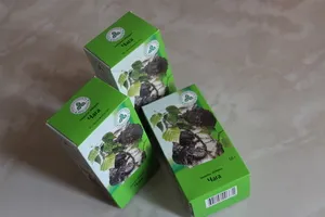 Birch Chaga ciuperci modul de preparare și utilizarea în scopuri medicinale