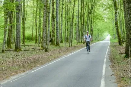 Bialowieza erdő, minden turisztikai információkat, árak és képek