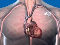 Брест Регионално Клиника по кардиология - Официален сайт