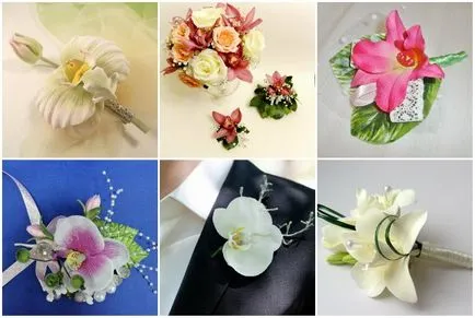 Boutonniere orchideák adott választás, az eredeti ötletek és színes fotók