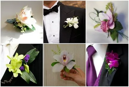 Boutonniere de orhidee alegere special, idei originale și fotografii color