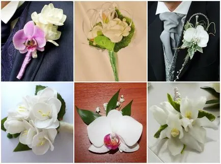 Boutonniere orchideák adott választás, az eredeti ötletek és színes fotók