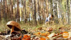 Какво може да замени четката за зъби