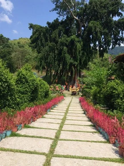 Ceea ce este cel mai bine în Nha Trang