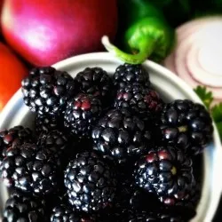 plantare gradina Blackberry și de îngrijire în suburbii, boala și gradul de îngrășăminte, cultivarea și creșterea