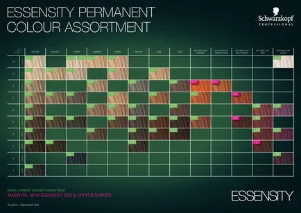 Essensity ammónia mentes hajfesték Schwarzkopf