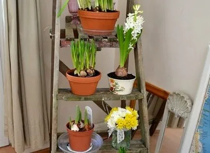 Rafturi pentru „casa“ plante flori si decoratiuni pentru interior