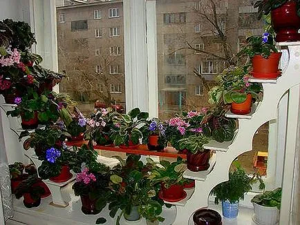 Rafturi pentru „casa“ plante flori si decoratiuni pentru interior