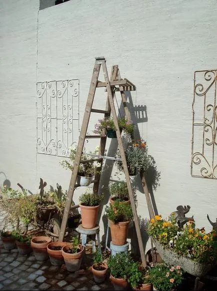 Rafturi pentru „casa“ plante flori si decoratiuni pentru interior