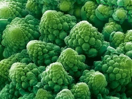 Photo Food mikroszkóp alatt, az összes érdekes itt