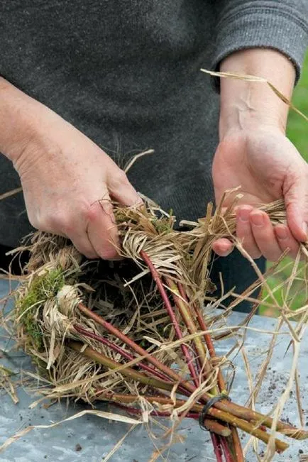 Nest madaraknak a kezüket, él az országban