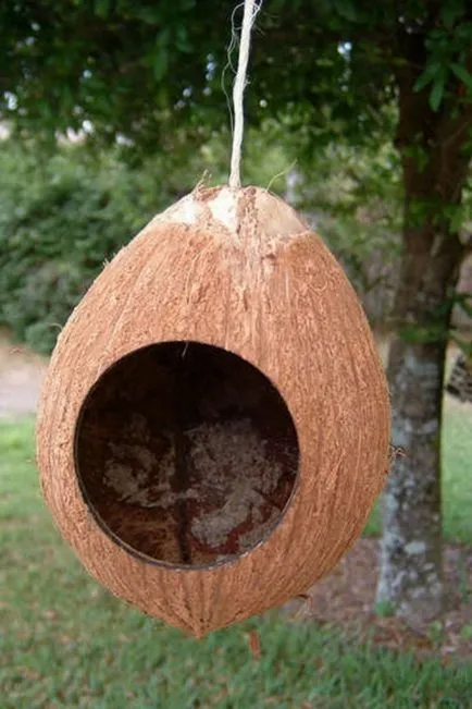 Nest madaraknak a kezüket, él az országban