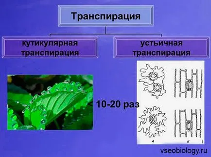 Биология студенти - 05