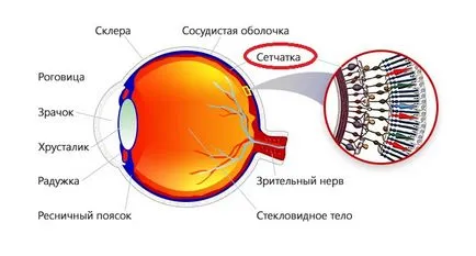 Как диабет засяга очите