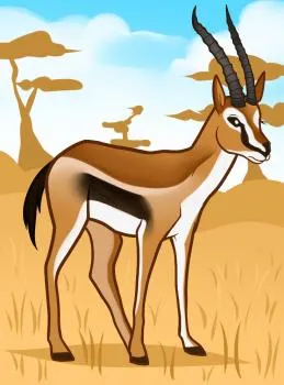 Cum de a desena o gazelă antilopă - Învață să atragă