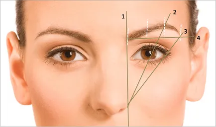 Как да изберем перфектната форма на веждите по вид на лицето