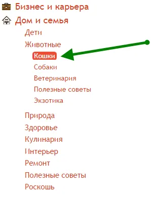 Как да направите съобщението и да го публикувате, за да се абонирате RU