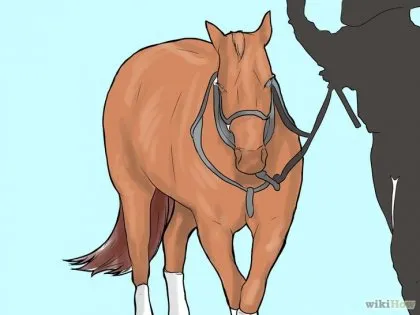 Hogyan esik a lováról