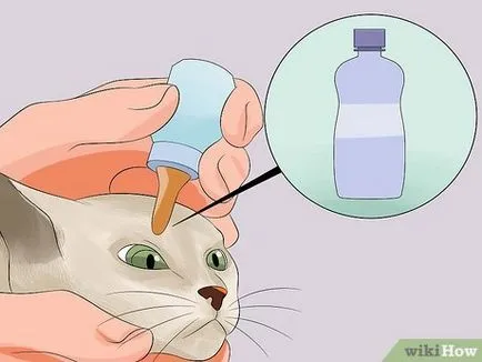 Как да се даде мекота котка коса и блясък