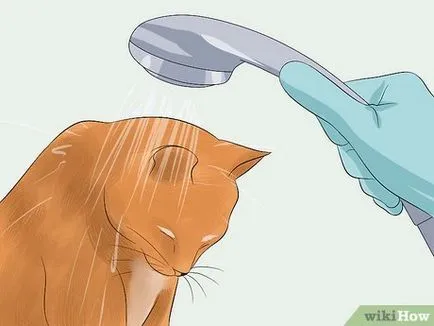 Hogyan, hogy egy macska szőr puhaságát és fényét