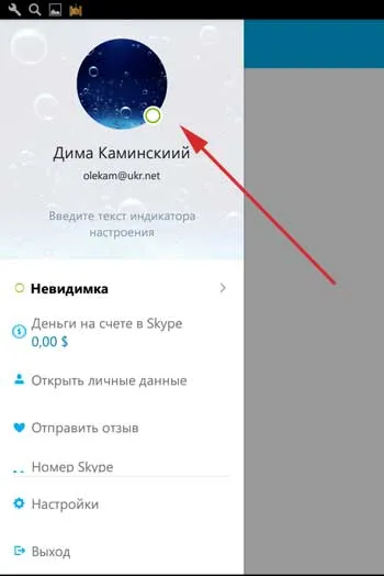 Hogyan kell telepíteni egy avatar a Skype