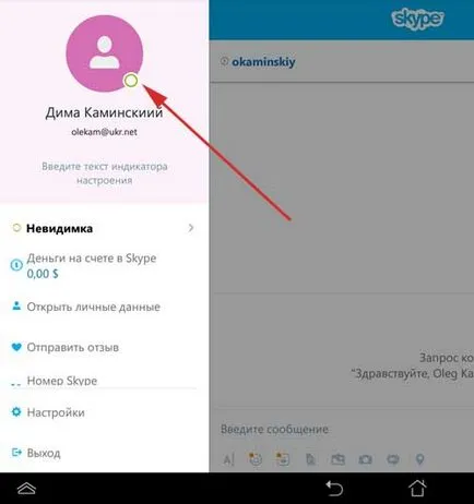 Cum se instalează un avatar în Skype