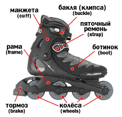 Как да изберем ролките (ролкови кънки), върховете на сайта!