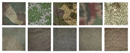 Camouflage - видове, цветове, име, снимка