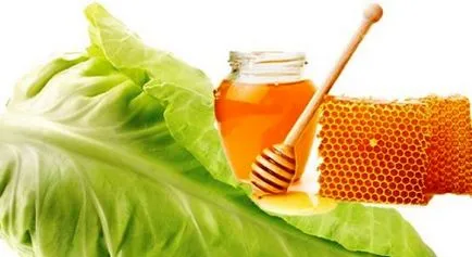 Зеле листа с мед кашлица - рецепти за деца и възрастни, здраве у дома