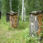 Arborele descriere apicultură gol, fotografii și video