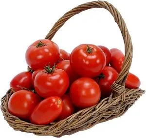 Lupta împotriva Thrips pe tomate - tomate cresc în seră