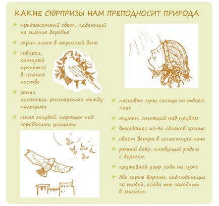 Mai aproape de Natura jurnal tânăr naturalist, labirint - Știri și recenzii