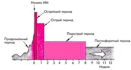 Класификация на съвременната класификация от тях предвижда разделянето му от •