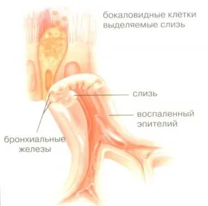 Lasolvan указания и препоръки за прилагането вдишване