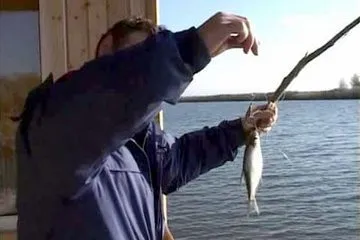 Blue платика риболов - други риби