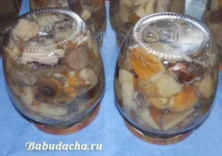 Ciuperci murate cu reteta oțet 9%, dând