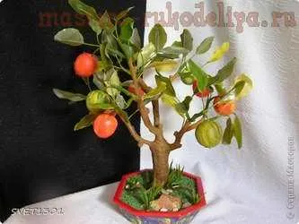 Mester osztályban az modellezése hideg porcelán alma bonsai