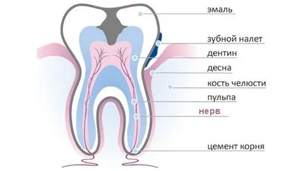 Локална анестезия в стоматологията - методите и разходите за локална анестезия