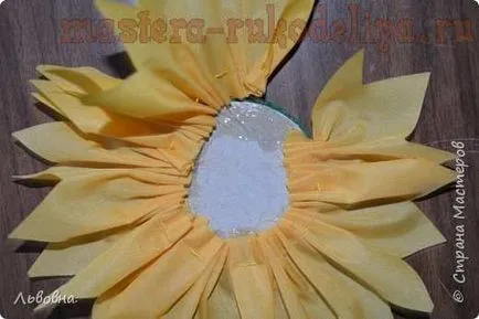 Mesterkurzus létrehozására virágokat a napraforgó szövet