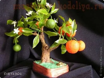 Master class privind modelarea porțelan rece de mere bonsai