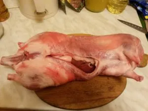 nutria carne proprietăți și contraindicații de vindecare