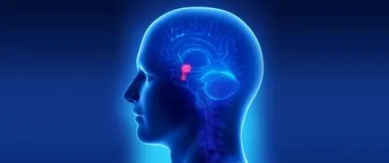 Az agyalapi mirigy MRI (kontrasztanyaggal és anélkül), amely azt mutatja, hogy dellayut