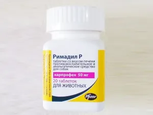 Durere medicamente pentru câini