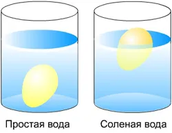 Експерименти и игри в кухнята