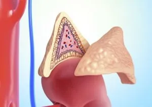 A tumor a mellékvese tünetek, kezelés, diagnózis, következményei