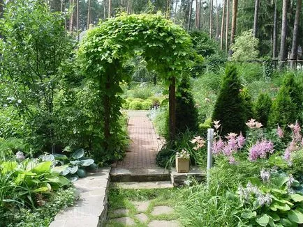 Стълбове, арка, kustoderzhateli и пергола в градината