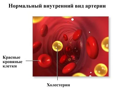 Supraabundența de vitamina C în simptomele adulti, semne